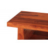 Konferenčný stolík Tara s úložným priestorom 110x45x60 indický masív palisander